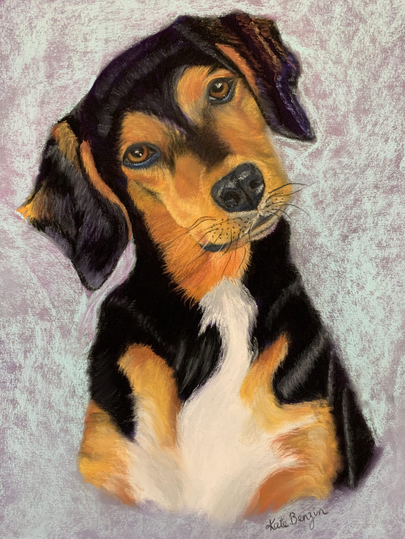Tri Color Dog