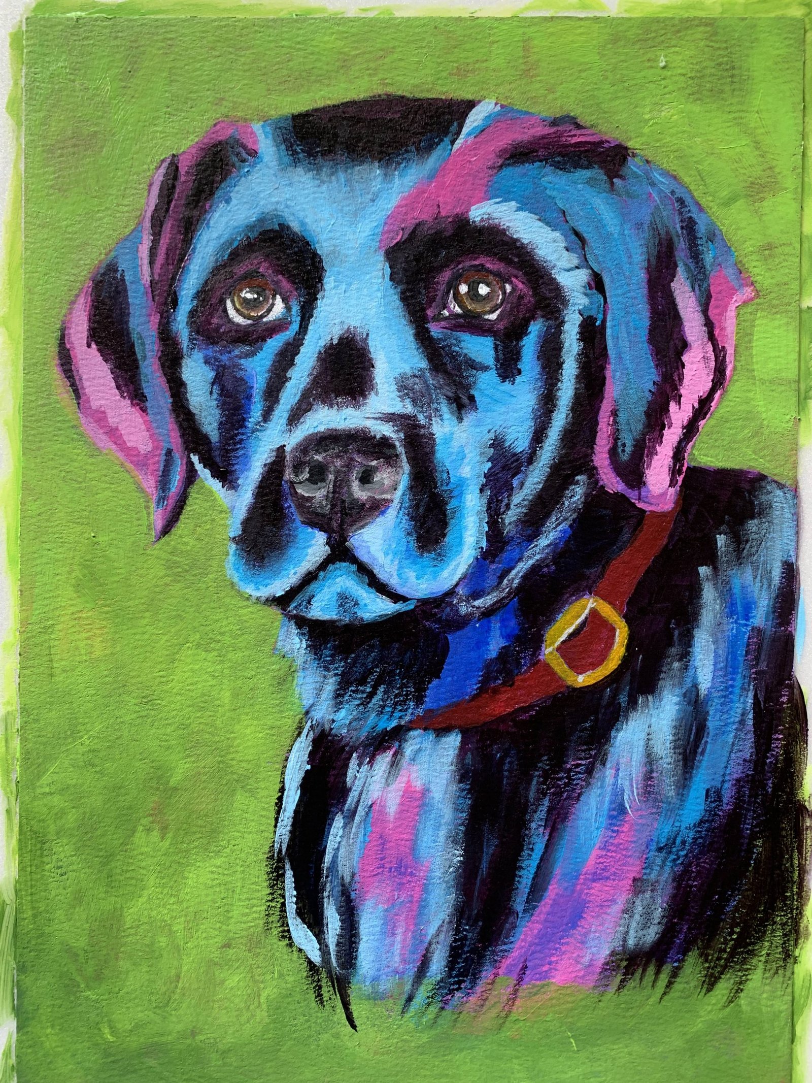 Bold color Black Lab