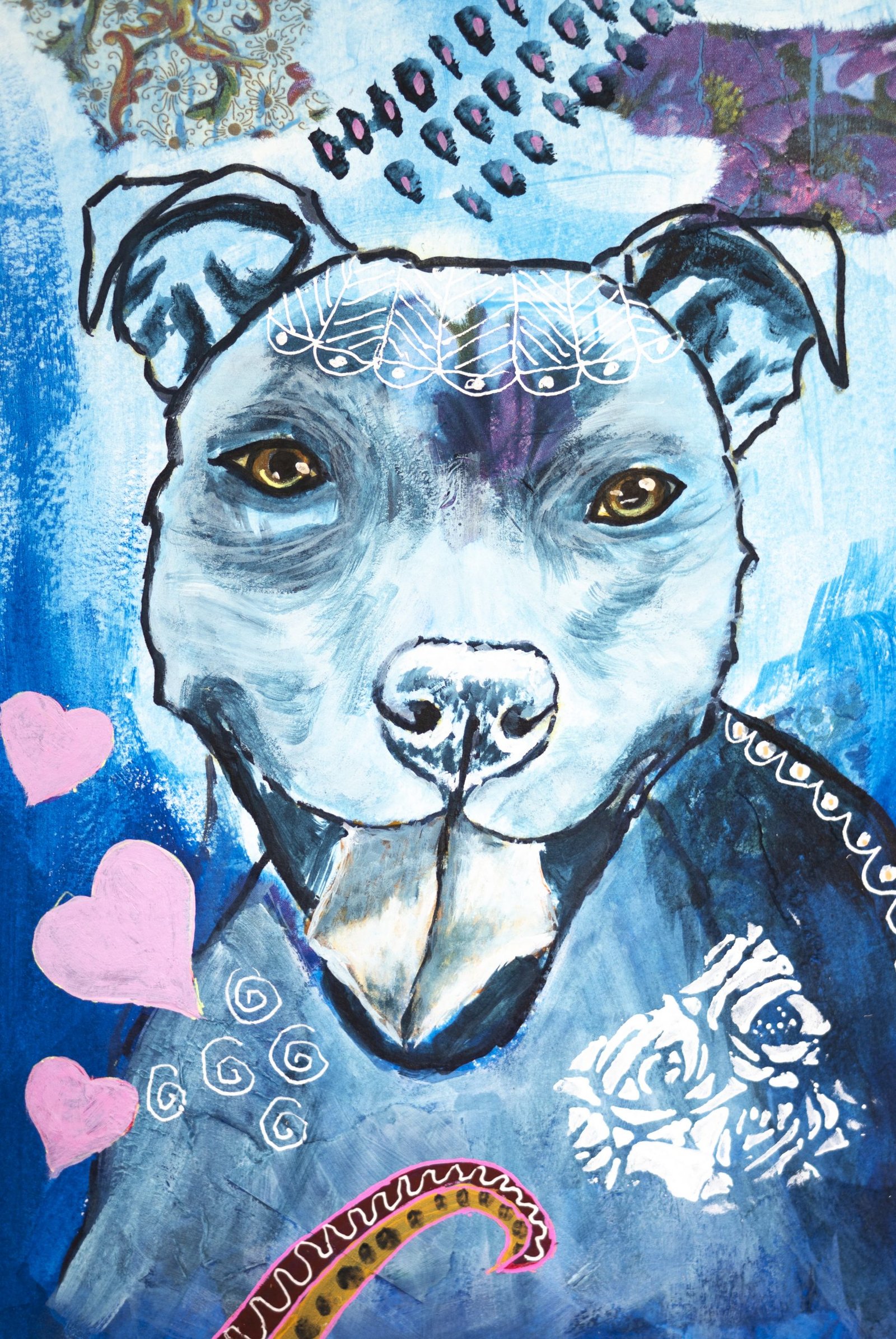 Pit Bull Blue