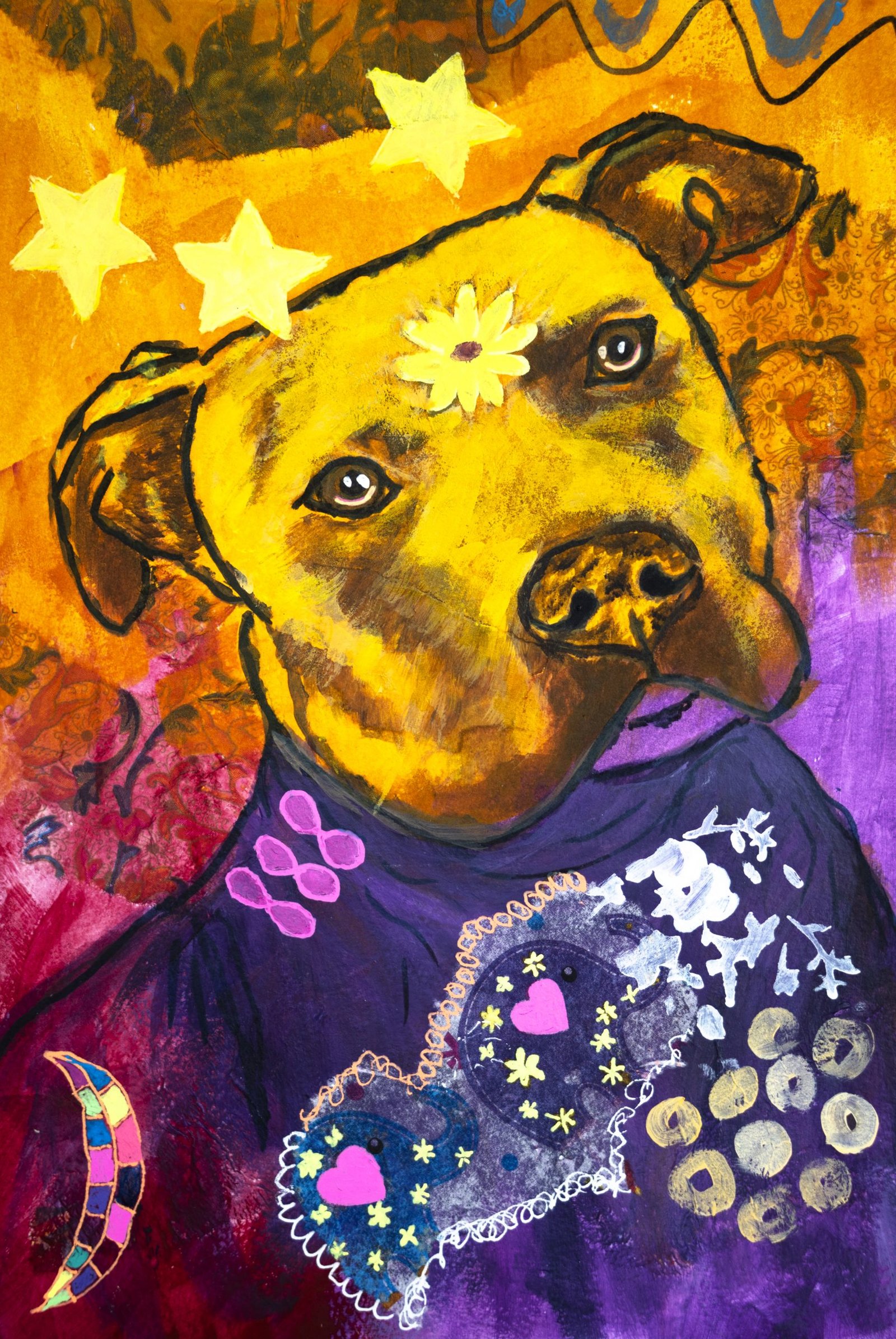 Pit Bull Orange