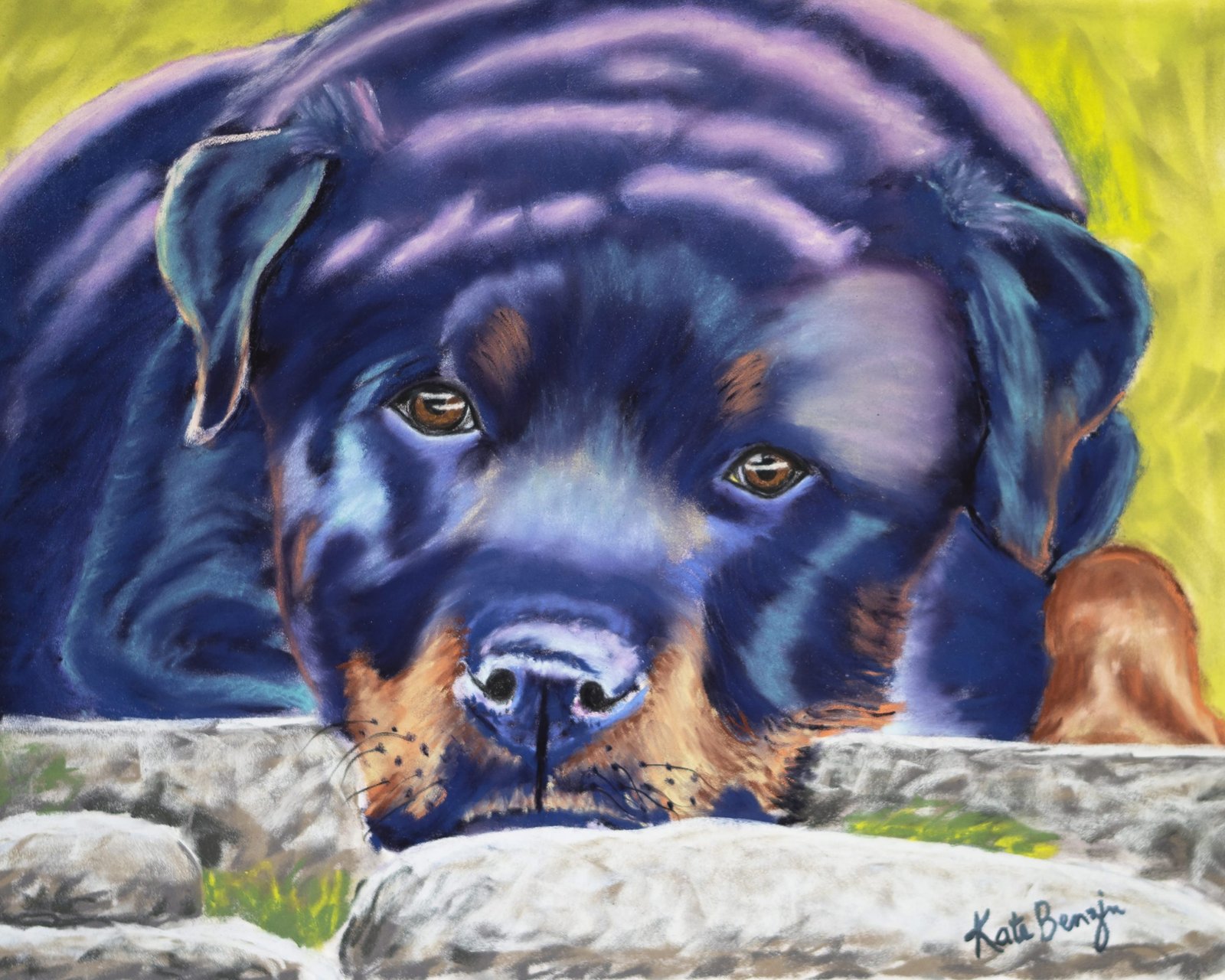 Rottweiler in the Park