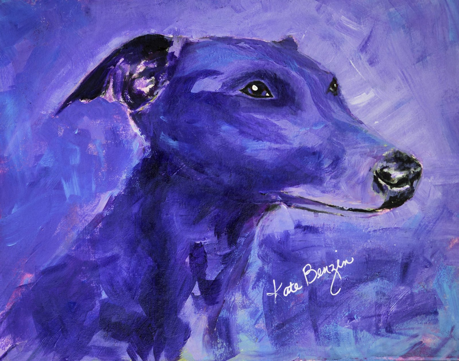 Blue Whippet Turned Purple