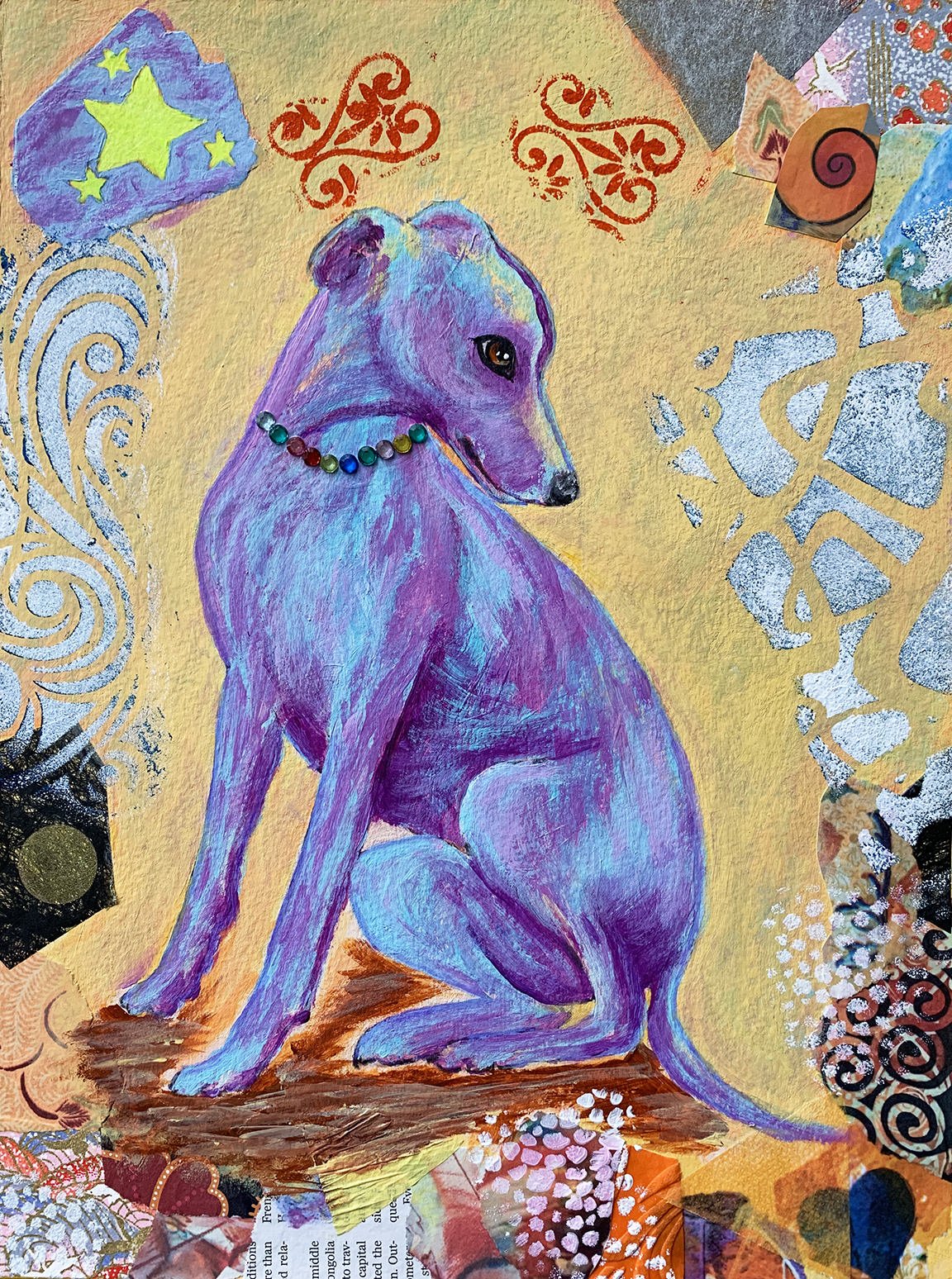 Whippet Sitting