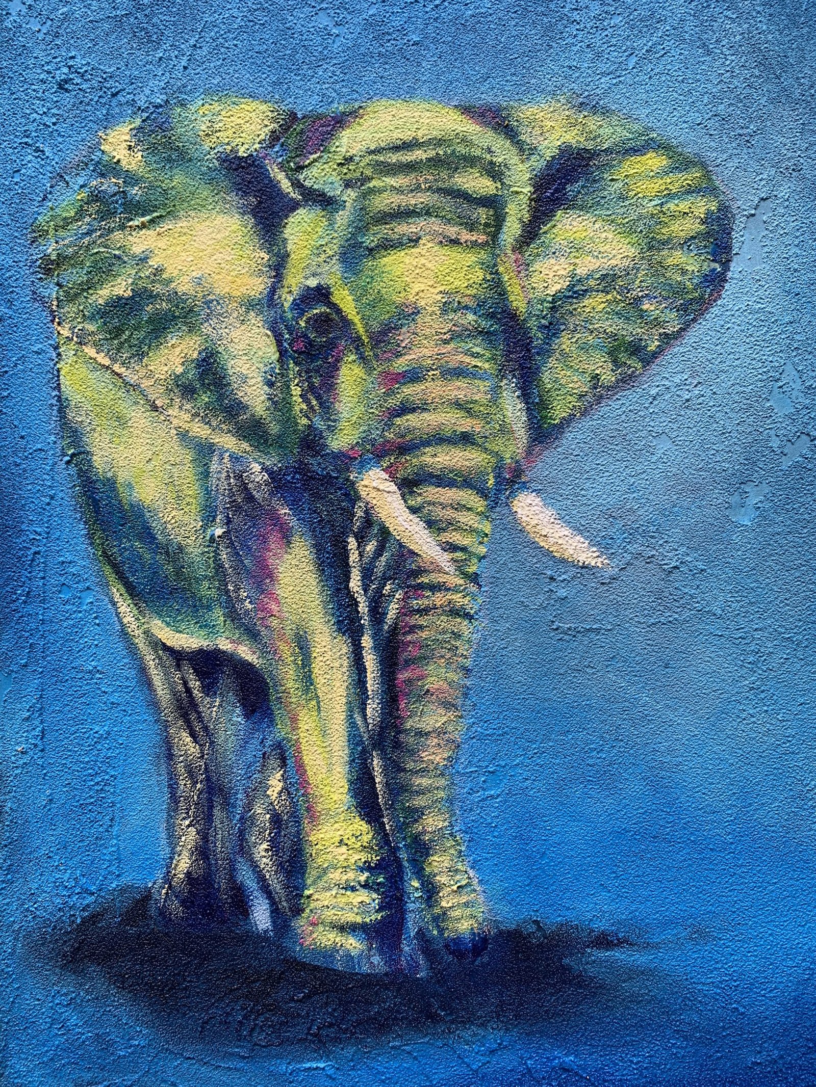 Elephant in Color