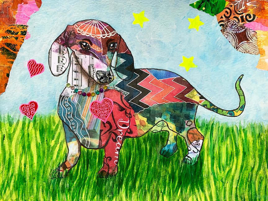Patchy Dachsy