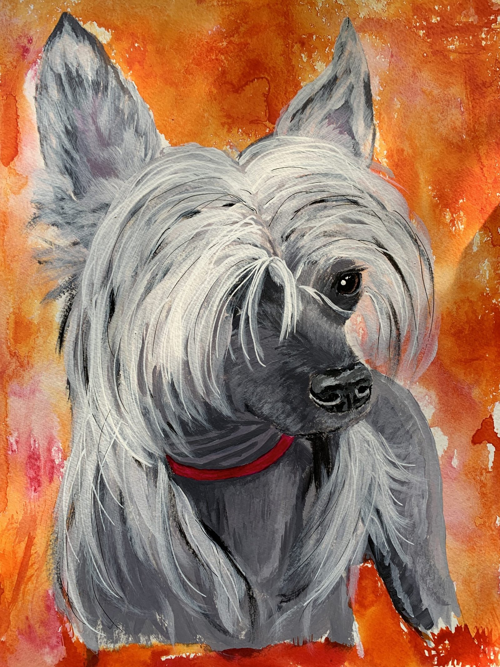 9x12-kate-benzin-pet-paintngs.jpg